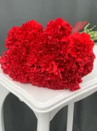 Красная гвоздика (диантус)