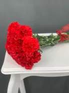 Красная гвоздика (диантус)