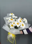 Букет из 15 садовых ромашек