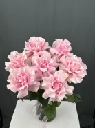 Шикарные, нежно- розовые французские розы.
