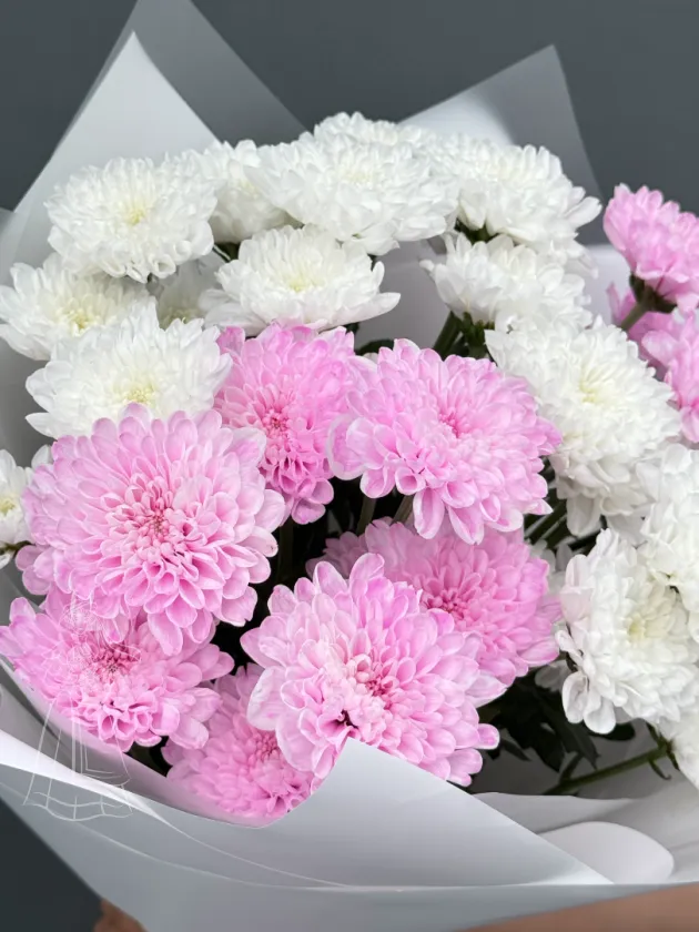 Стойкий букет из белых и розовых хризантем 5 шт