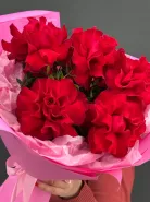 Букет красные французские розы в розовом