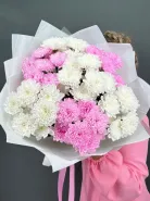 Бело-розовый букет из стойких, пушистых хризантем (7шт)
