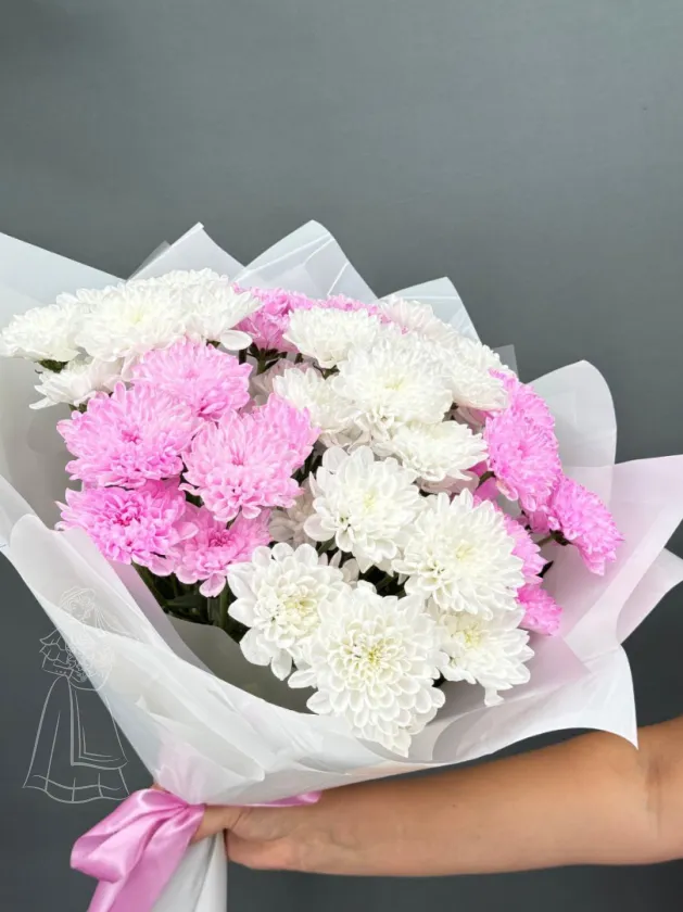 Бело-розовый букет из стойких, пушистых хризантем (7шт)