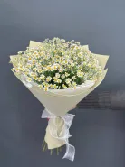 Ромашковое счастье