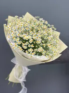 Ромашковое счастье