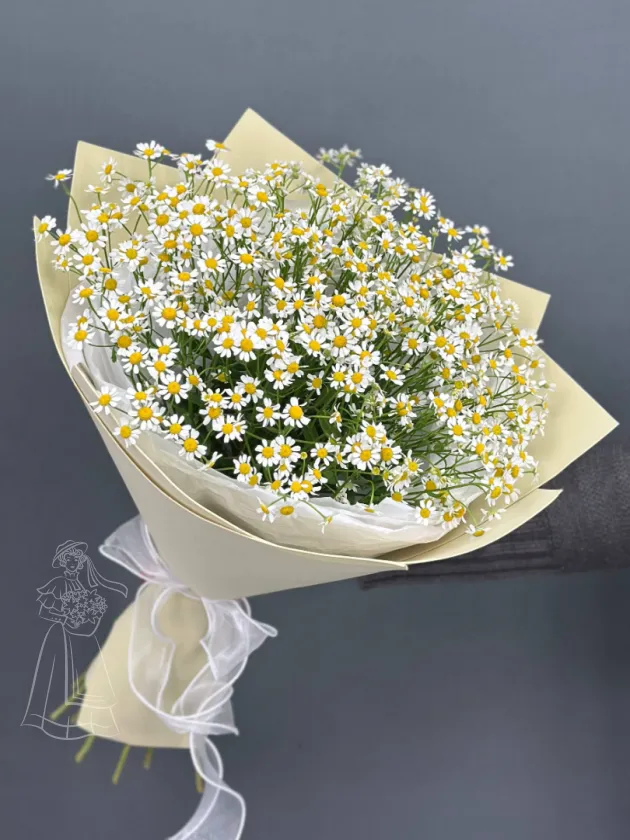 Ромашковое счастье