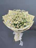 Ромашковое счастье