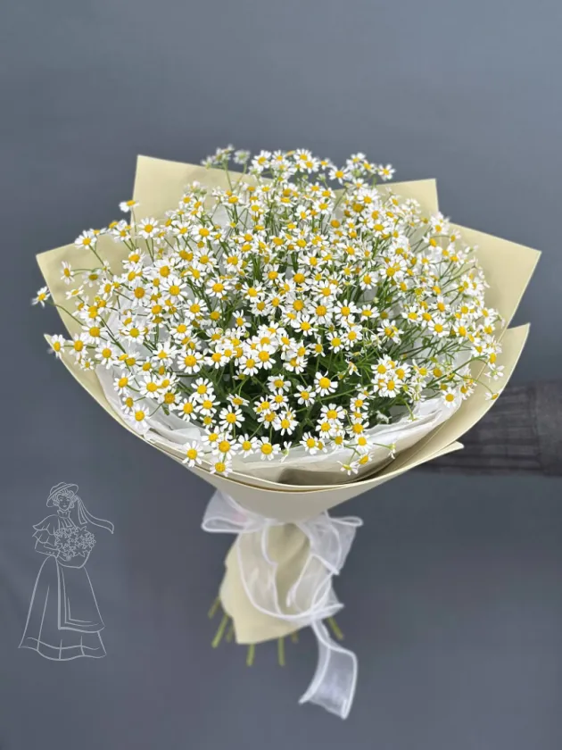 Ромашковое счастье