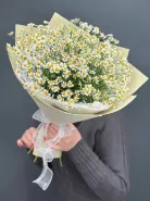 Ромашковое счастье