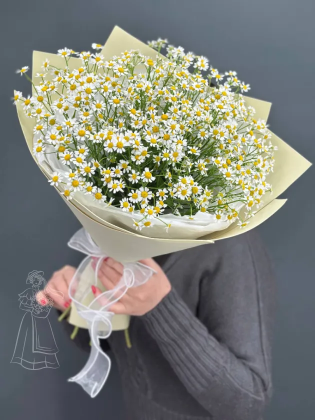 Ромашковое счастье