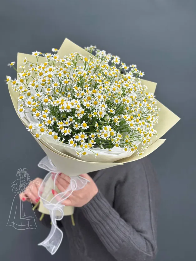 Ромашковое счастье