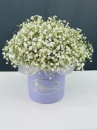 Композиция Облако гипсофилы