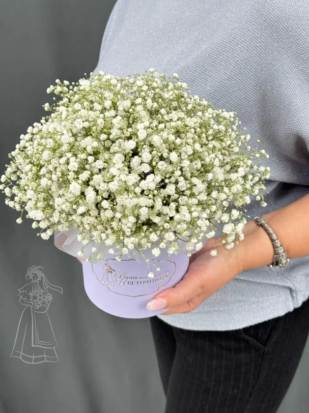 Композиция Облако гипсофилы