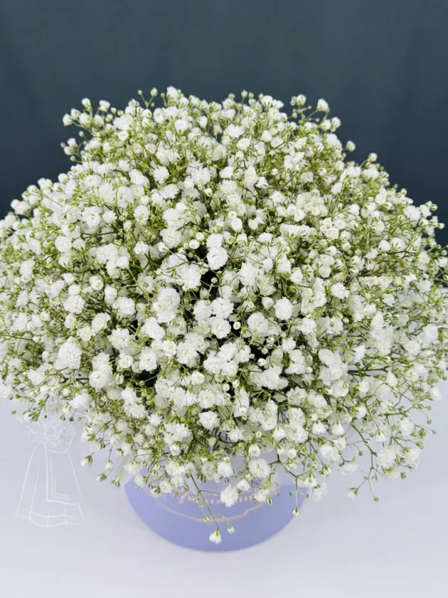 Композиция Облако гипсофилы