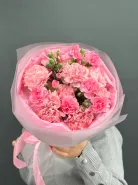 Розовые гвоздики.