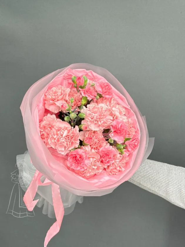 Розовые гвоздики.