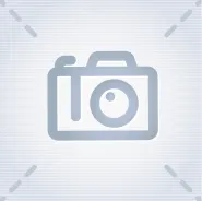 Весенний букет 25 белых тюльпанов