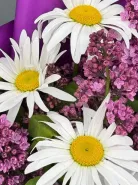 Весенняя сказка