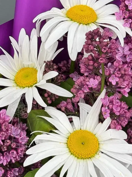 Весенняя сказка