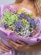 «Нежность радуги» разноцветная гипсофила
