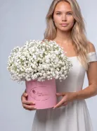 Воздушная белая гипсофила в коробке