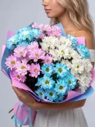 «Небесное сияние» хризантемы микс