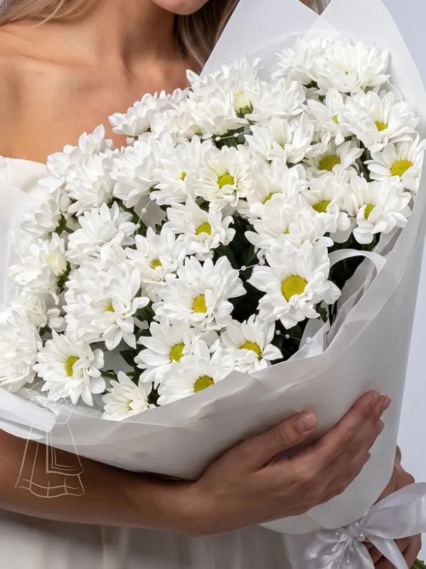 «Белоснежная нежность» 7 веток белых кустовых хризантем
