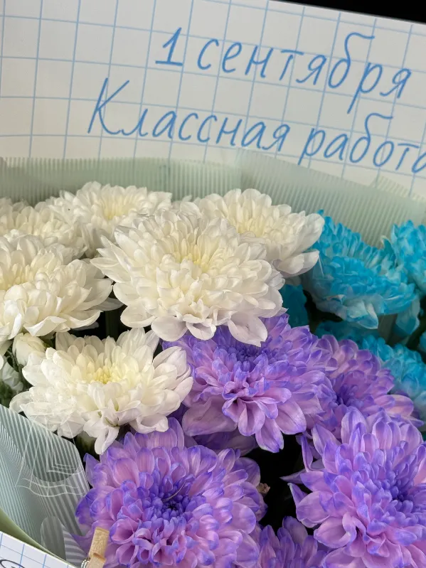 «Школьный букет» хризантемы микс