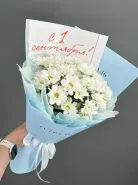 «С 1 Сентября!» букет белых хризантем