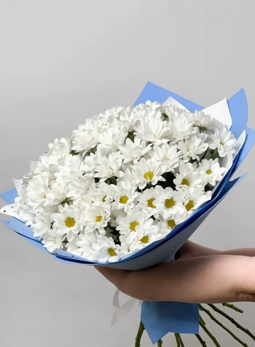 Большой букет из белой ромашковой хризантемы от интернет-магазина цветов в Норильске