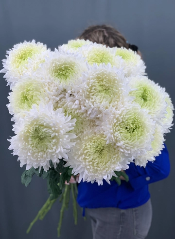 Букет из 15 крупных хризантем от интернет-магазина цветов в Норильске