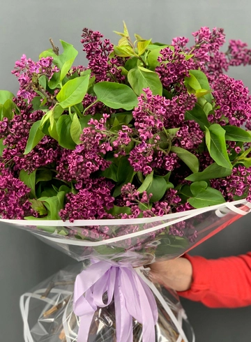 букет ароматной сирени из 35 веток от интернет-магазина цветов в Норильске