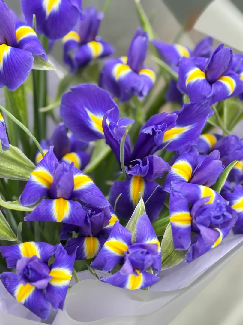Букет 25 ирисов