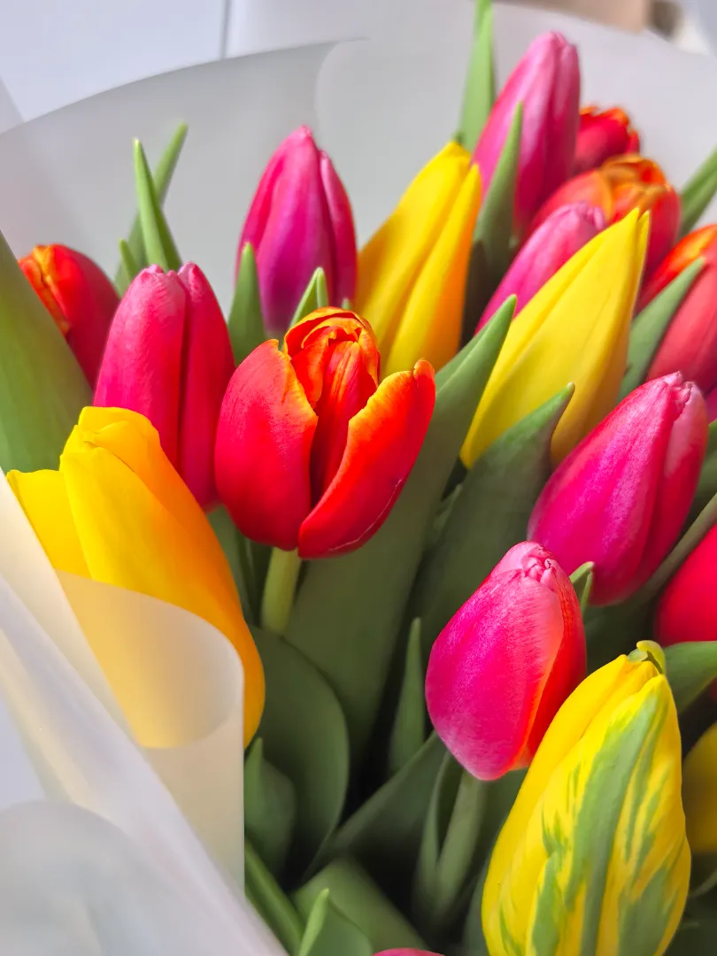 Яркий, весенний букет 35 тюльпанов микс