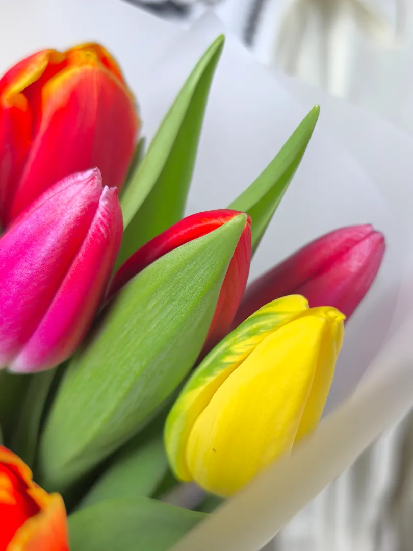 Яркий, весенний букет 9 тюльпанов микс