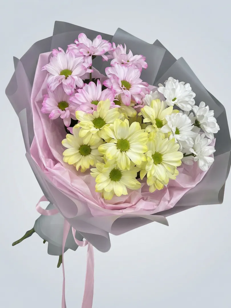 Стойкий букет белые, желтые, розовые ромашковые хризантемы