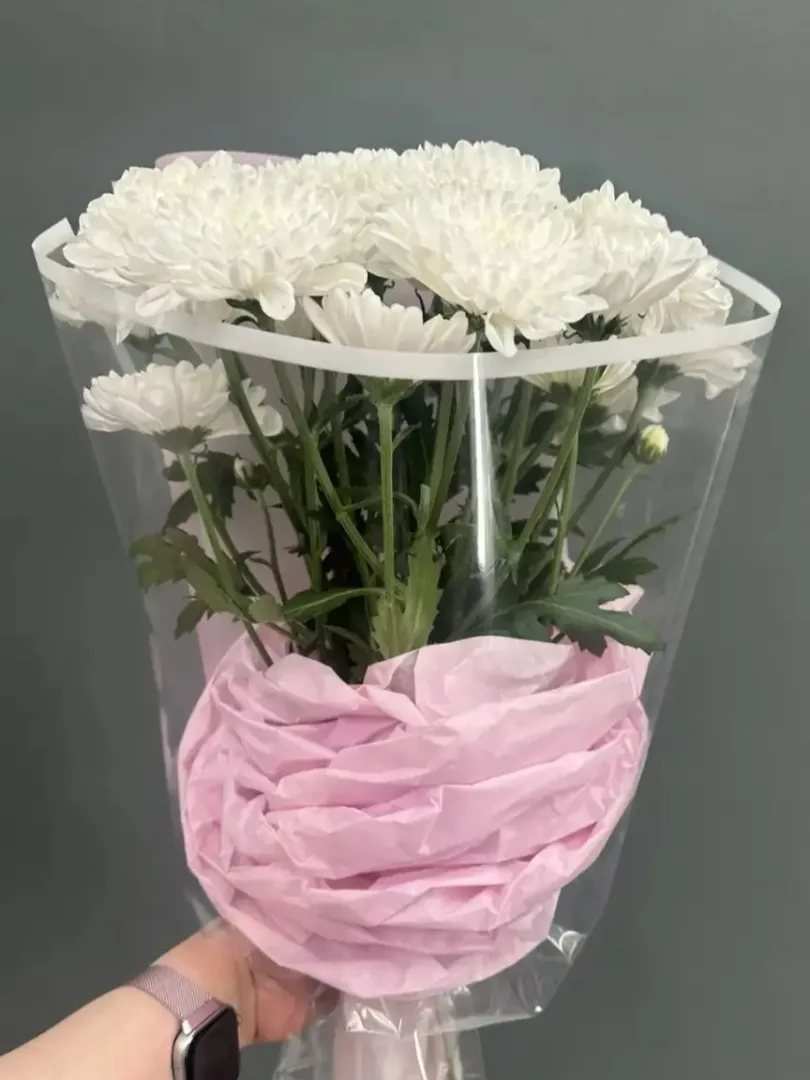 Букет- комплимент белая хризантема Алтай