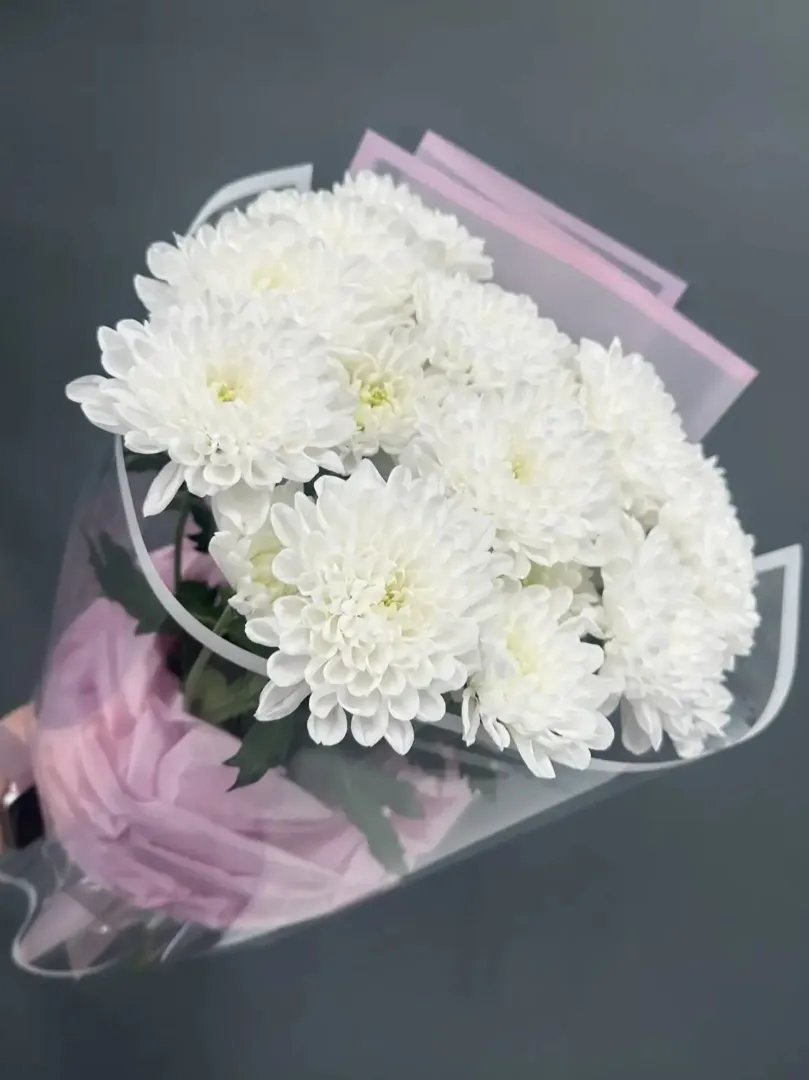 Букет- комплимент белая хризантема Алтай